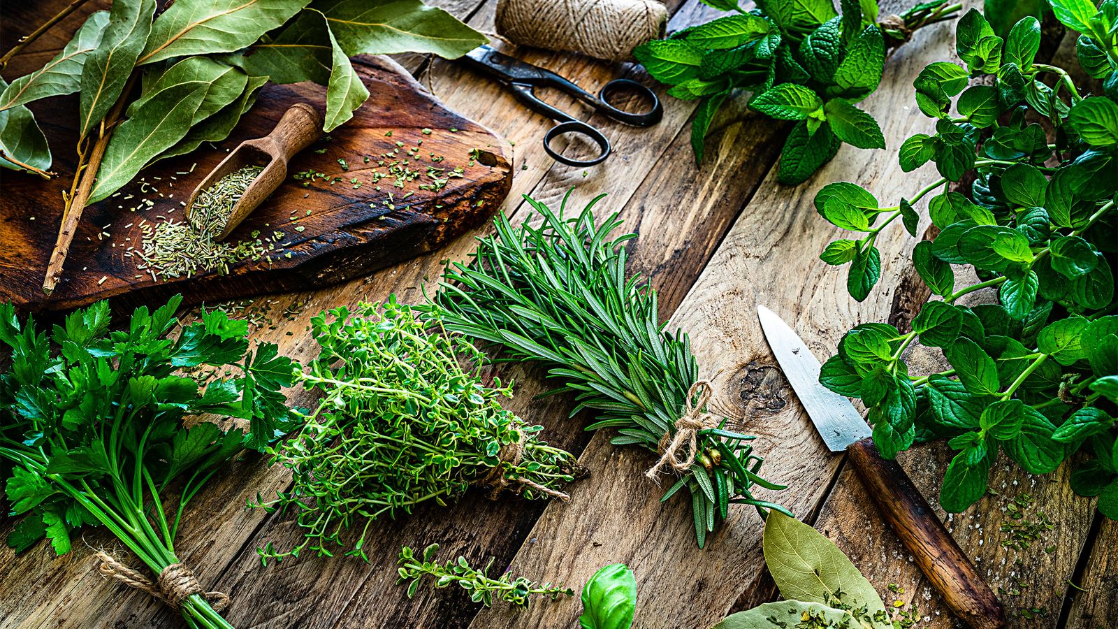 Frische Kräuter und Messer auf einem Holzbrett in der Küche